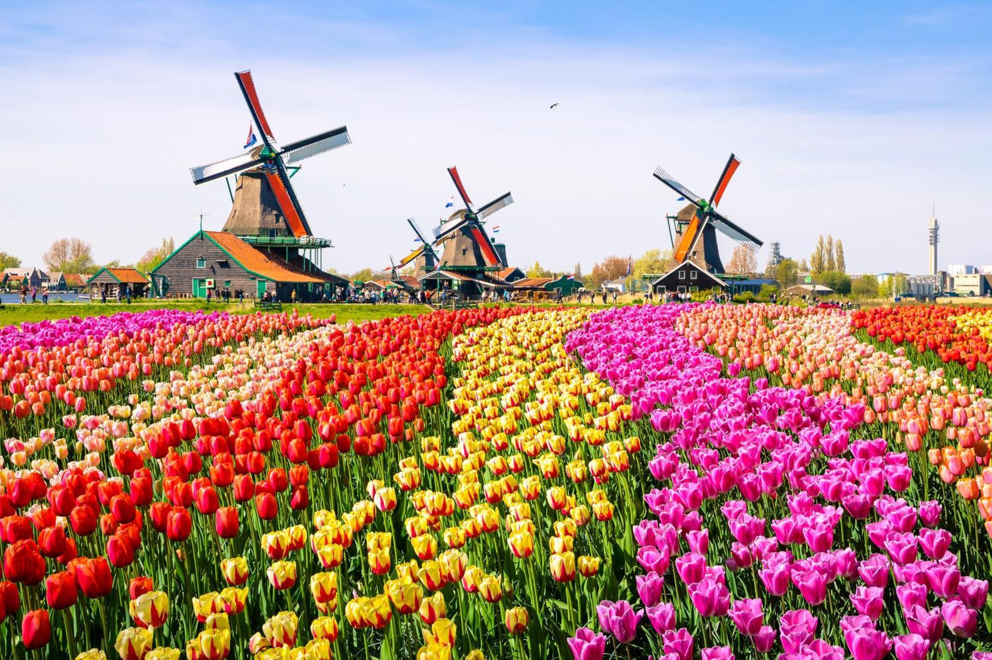 Dormio Resort Medemblik Opperdoes Exteriör bild